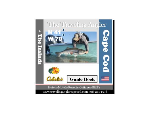 Digital Magazine