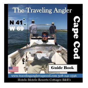 online magazine publishing - Traveling Angler Cape Cod 2022-2023 New Upload